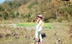 国内精品乱码卡一卡2卡三卡